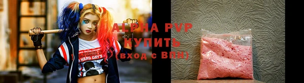 индика Богородск
