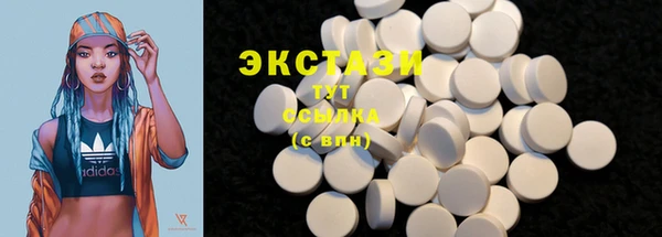 индика Богородск