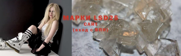 индика Богородск