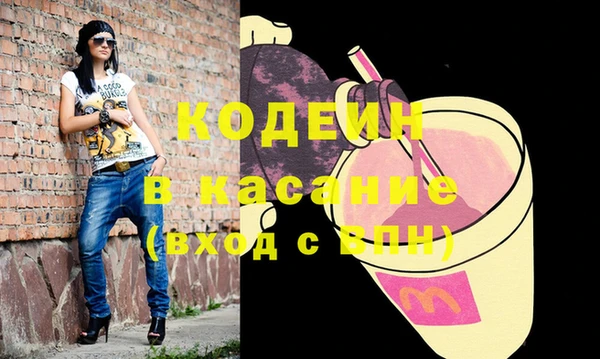 индика Богородск