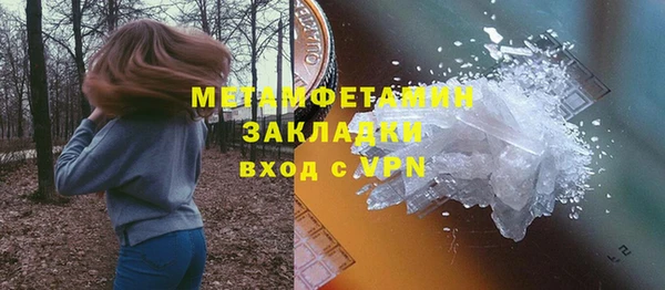индика Богородск