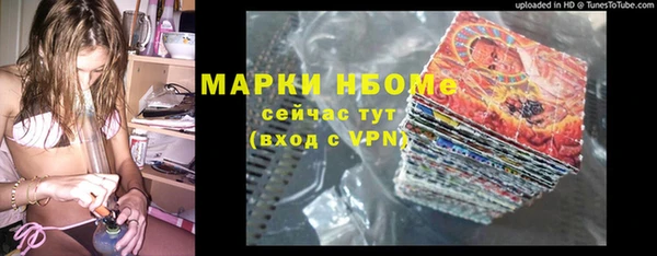 индика Богородск