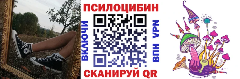 магазин    KRAKEN зеркало  Псилоцибиновые грибы Psilocybine cubensis  Каспийск 
