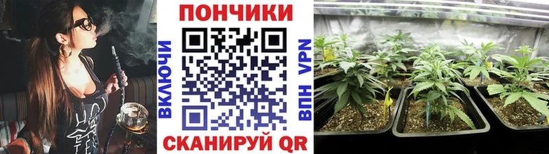 Шишки марихуана White Widow  купить наркоту  дарк нет формула  Каспийск 